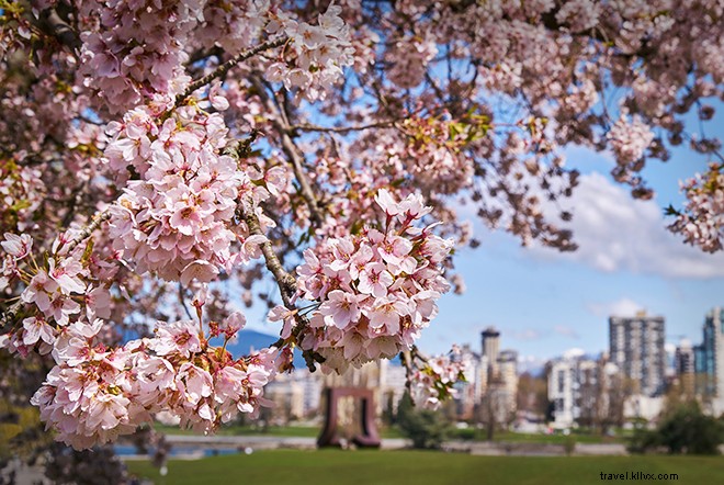 Quatro estações de atividades ao ar livre em Vancouver 